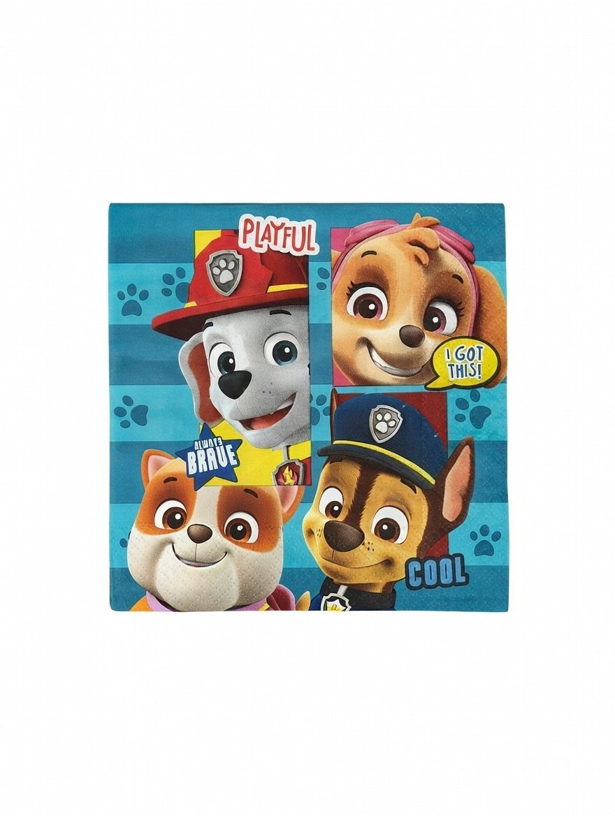 Pack Fiesta Temática Paw Patrol Para 12 Niños - Cumpleaños - Imagen 3